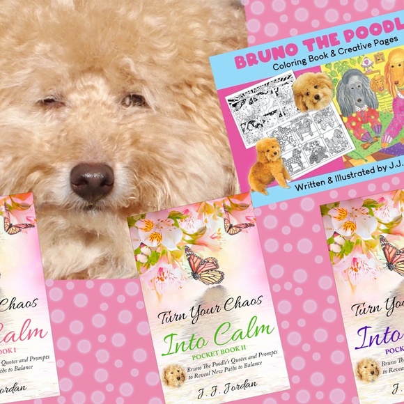 Bruno Loves Shopping & Sharing his wonderful finds - Picture 2 of 3